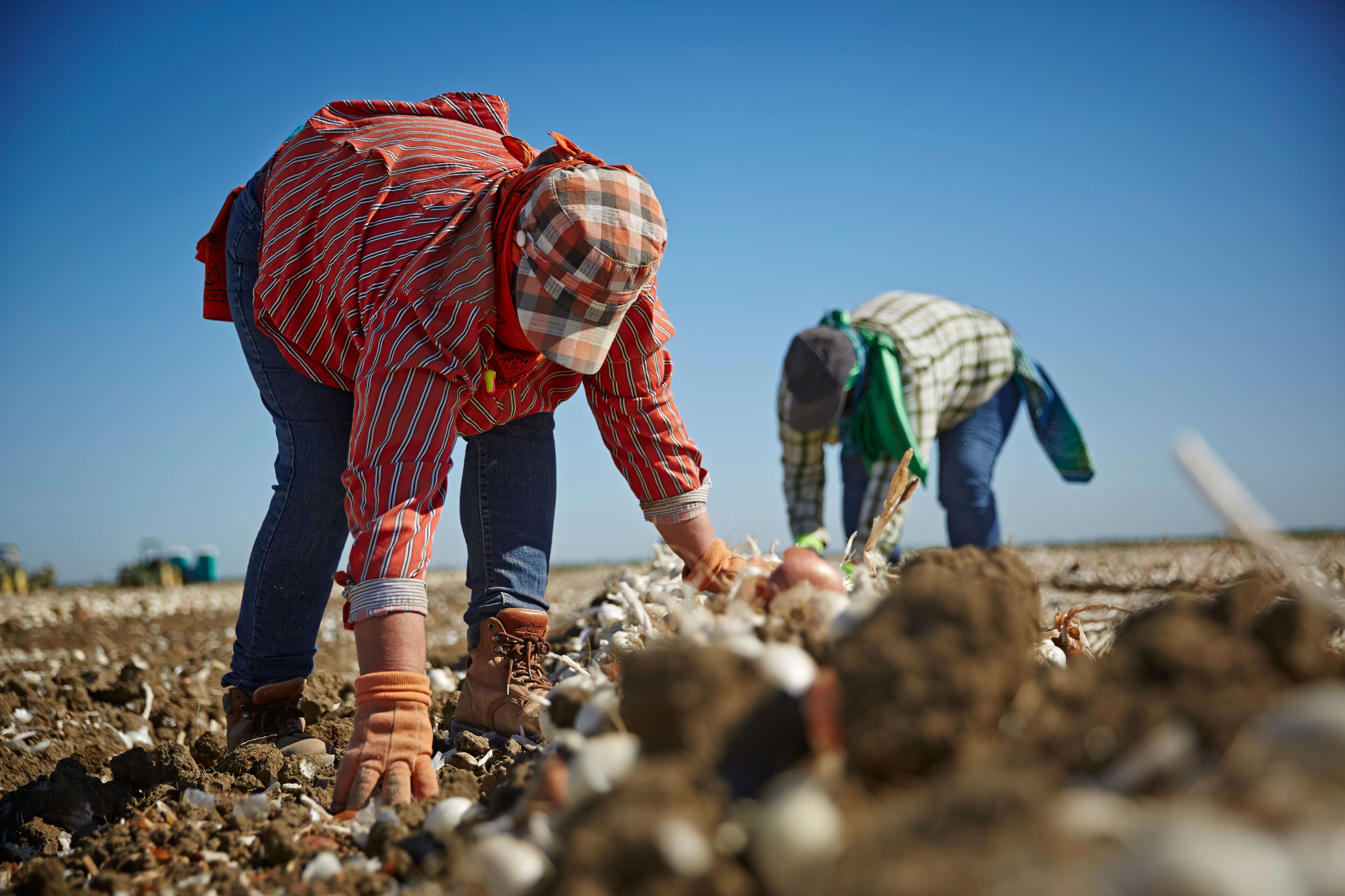 Two woman working on a farm